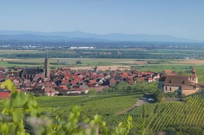 Dambach-la-Ville (Grand-Est)