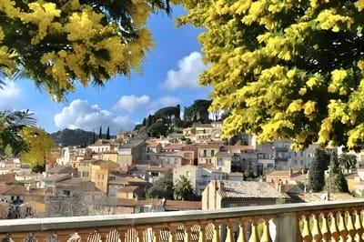 Bormes-les-Mimosas-Village (Provence-Alpes-Côte d'Azur)