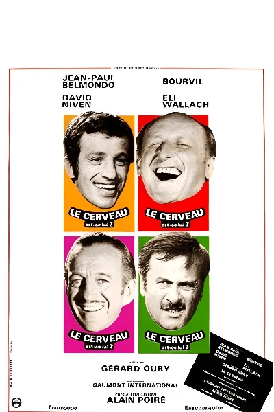 Le cerveau