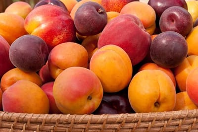Las frutas de hueso (ciruela, durazno, cereza, albaricoque…)