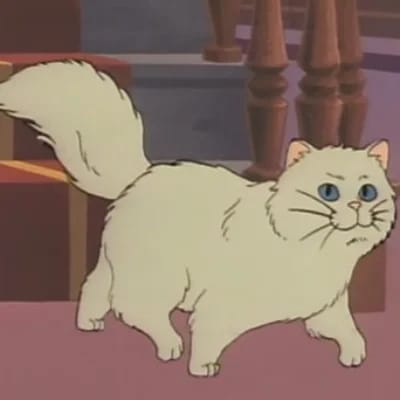 César