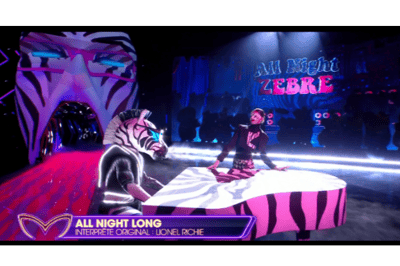 Zèbre canta All night long