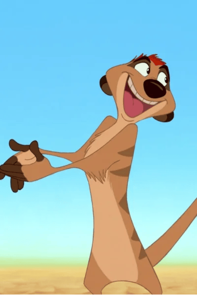 Timon