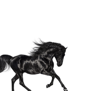 Lil Nas X – Old Town Road (feat. Billy Ray Cyrus) (N°1 2019)