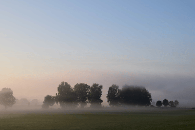 Nebbia
