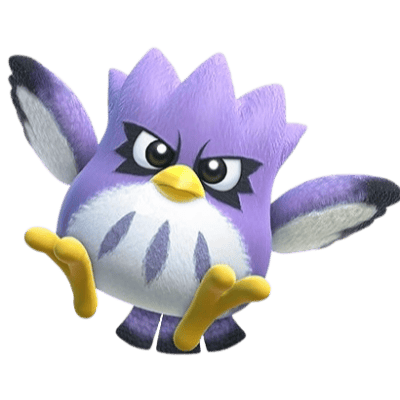 Coo