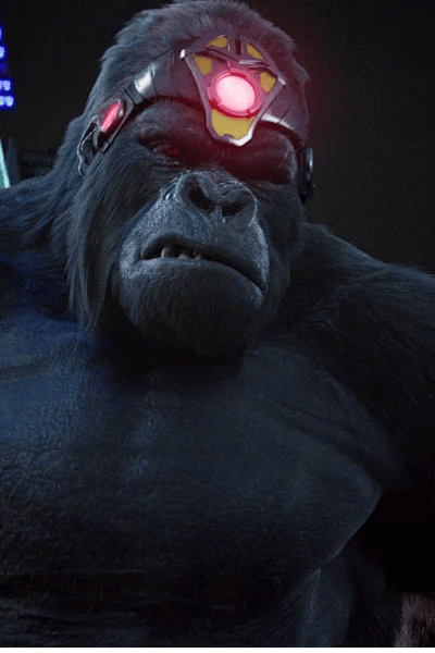 Grodd