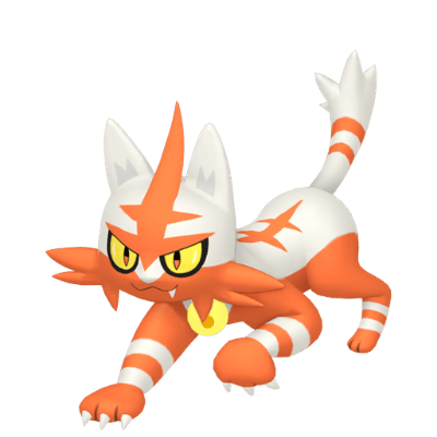 Torracat ✨