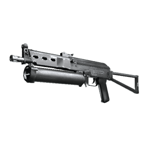 PP-Bizon