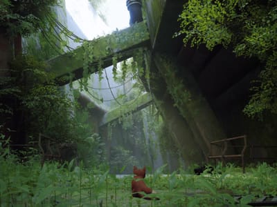 L’environnement
