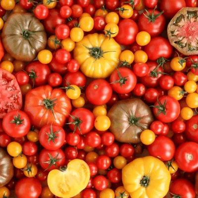 Tomate