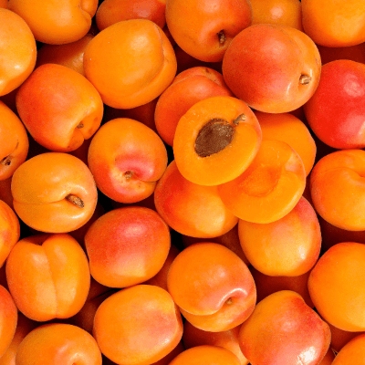 Damasco