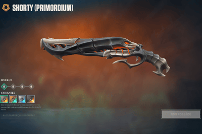 Primordium