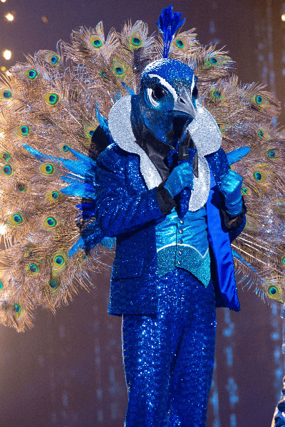 Pavo Real
