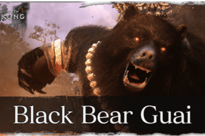 Guai Ours noir
