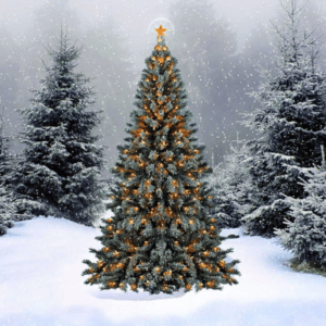Mon Beau Sapin