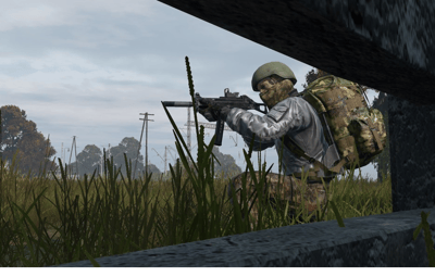 DayZ