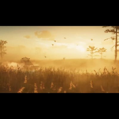 The Everglades