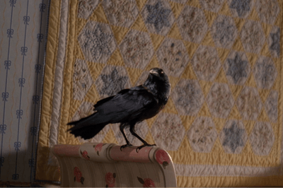 07x16 – Quimera