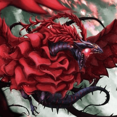 Drago Rosa Nera
