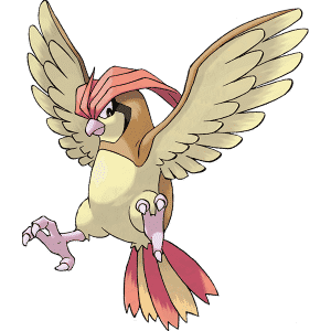 Pidgeotto