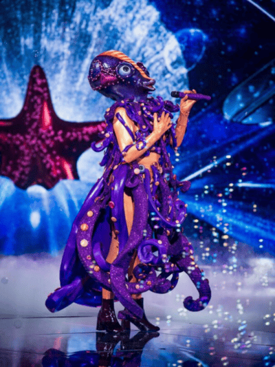 Pulpo