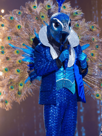 Pavo real