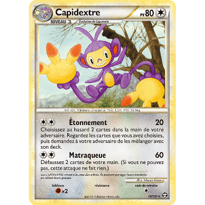 Ambipom