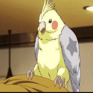 Pato