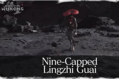 Gouaï Lingzhi à neuf têtes