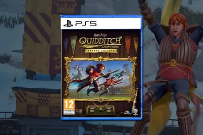 WB Harry Potter Champions de Quidditch
