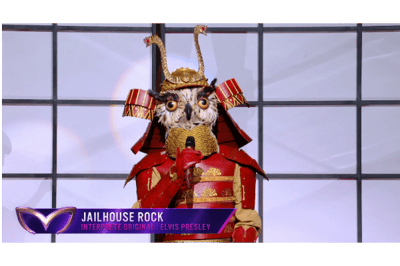 Coruja cantando Jailhouse rock