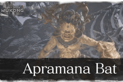 Chauve-souris Apramana