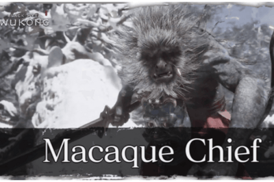 Chef Macaque