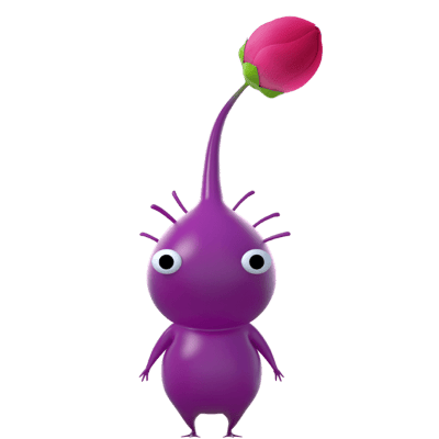 Morado