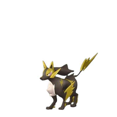 Rayhound