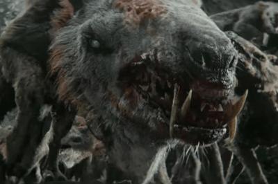 Wart Dog