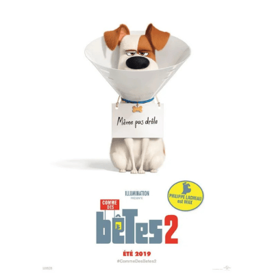 Pets 2 - Missione White House