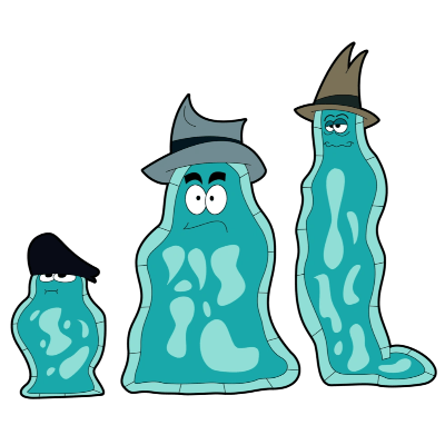 Il trio Amoeba