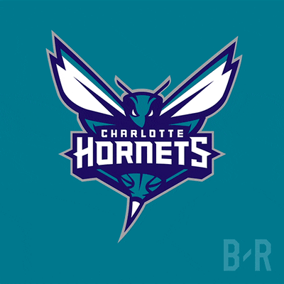 Charlotte Hornets