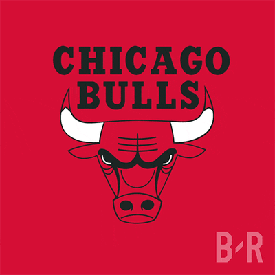 Chicago Bulls