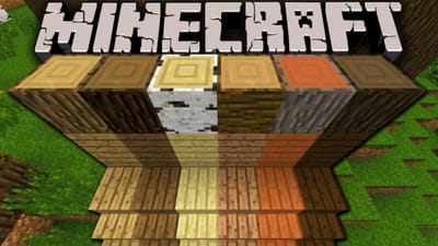 Minecraft