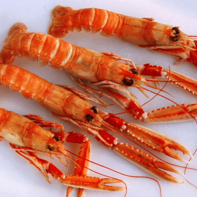 Langoustines