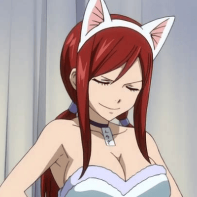 Armadura de Gato