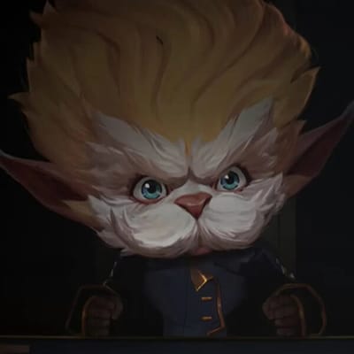 Heimerdinger