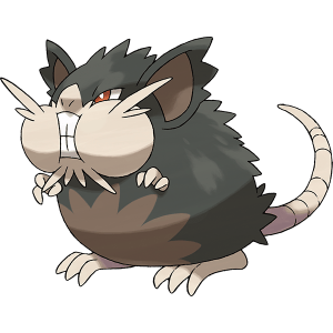 Raticate di Alola