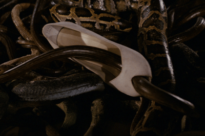 As cobras em "Indiana Jones e os Caçadores da Arca Perdida"