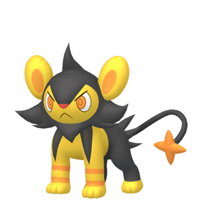 Luxio ✨