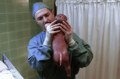 04×20 – La queue du diable [Small potatoes]