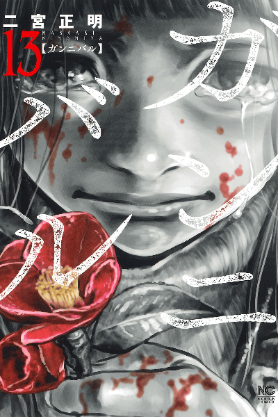 Volume 13